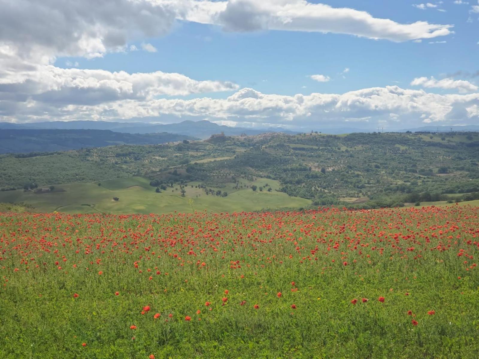 Il Centro Storico Villa Grottole Buitenkant foto